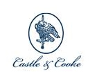 castlecook-logo-thumb